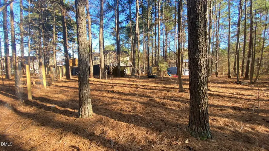 50 Mamie Bell Circle, Lillington, NC 27546 - Image #3