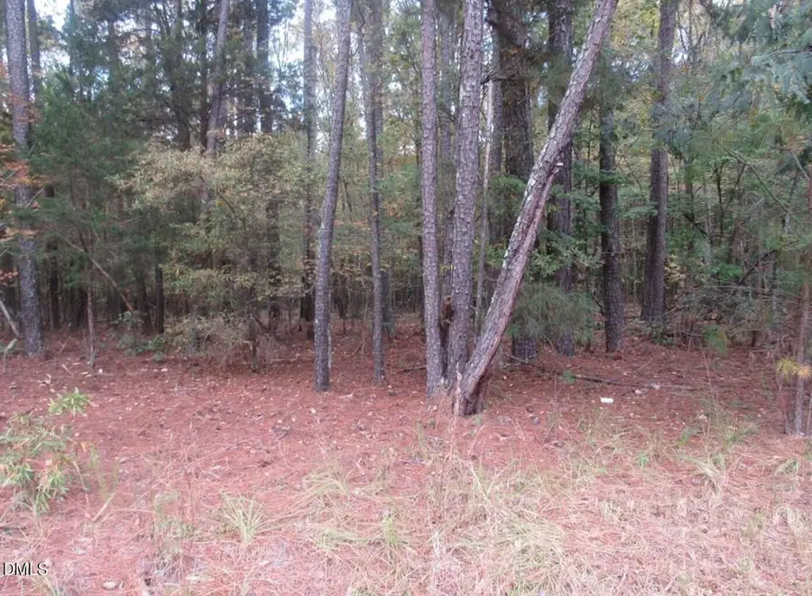 914 Taylors Chapel, Sanford, NC 27330 - Image #3