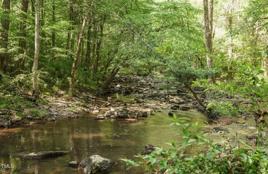 60 Clear Springs Court, Pittsboro, NC 27312 - Image #3