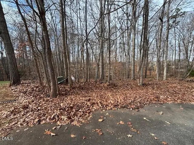 0 Golden Oaks Drive, Graham, NC 27253 - Image #3