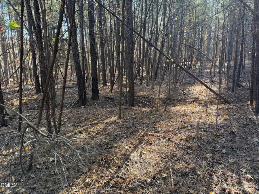 530 Crievewood Drive, Durham, NC 27712 - Image #2