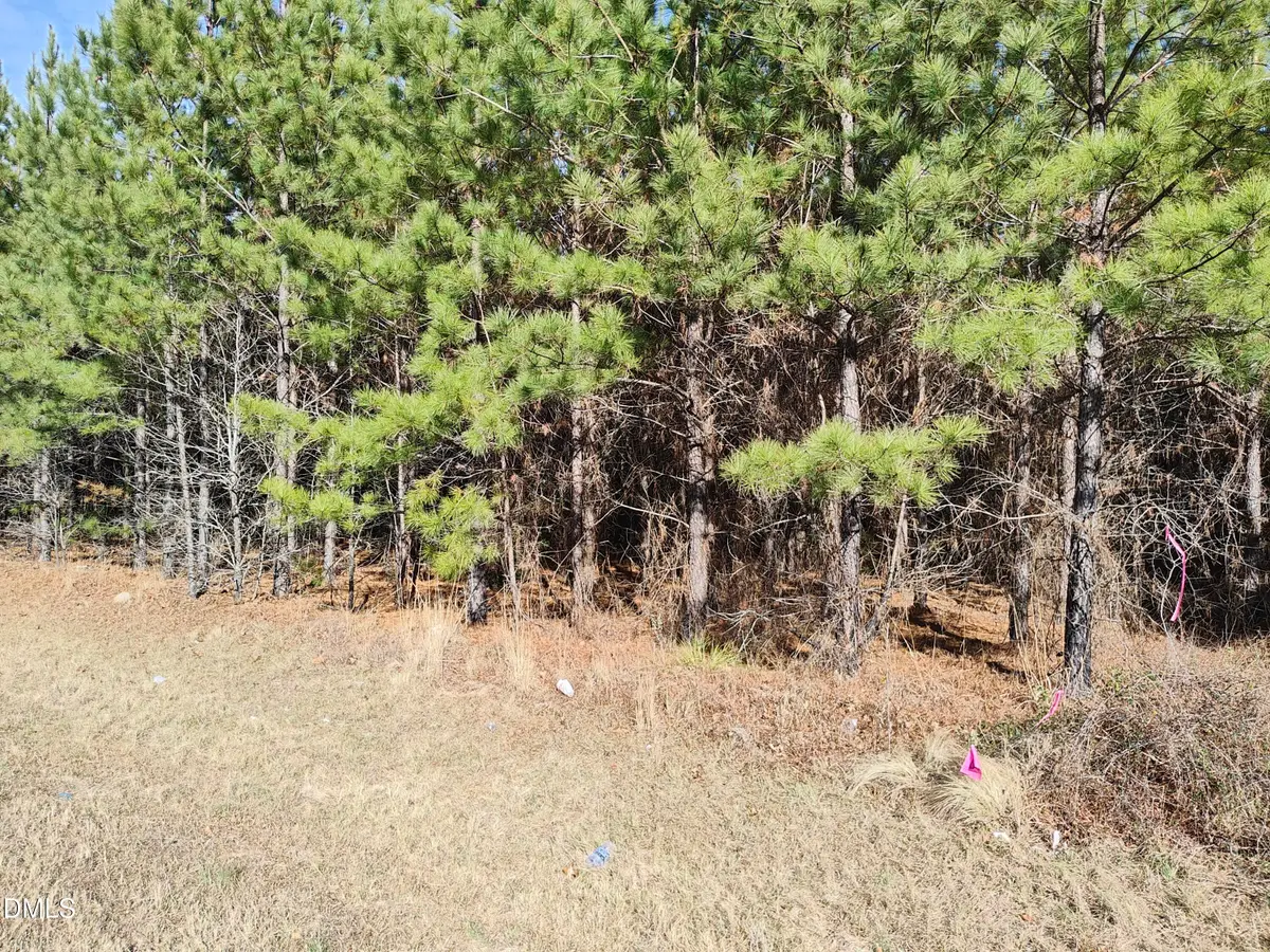 Lot 7 Windblow Road, Jackson Springs, NC 27281 - Image #1