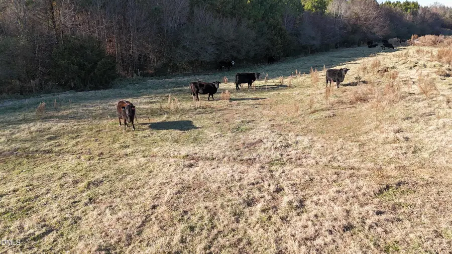 8370 Siler City Glendon Road, Bear Creek, NC 27207 - Image #3