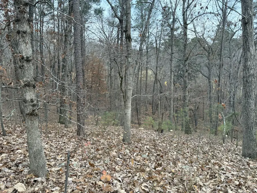 57803 Owen, Chapel Hill, NC 27517 - Image #3