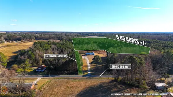 Lot 2 Old Nc 903 Highway, Kenansville, NC 28349