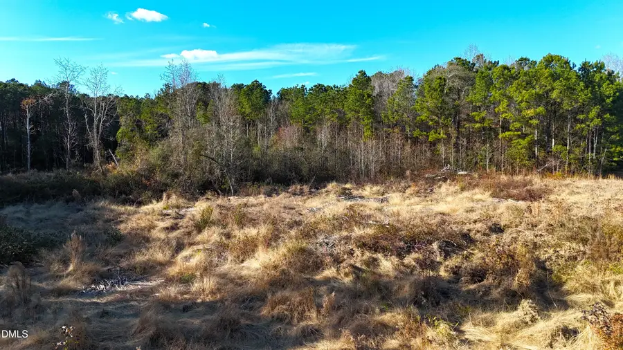 Lot 2 Old Nc 903 Highway, Kenansville, NC 28349 - Image #2