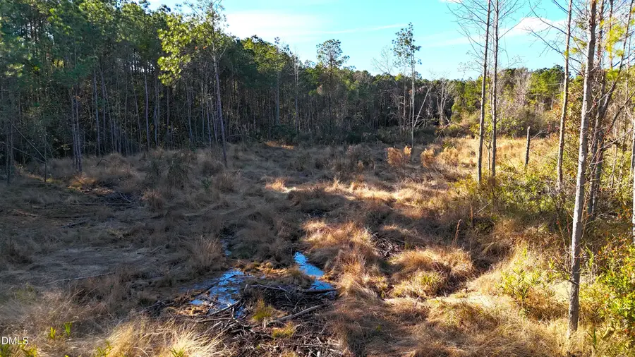 Lot 2 Old Nc 903 Highway, Kenansville, NC 28349 - Image #3