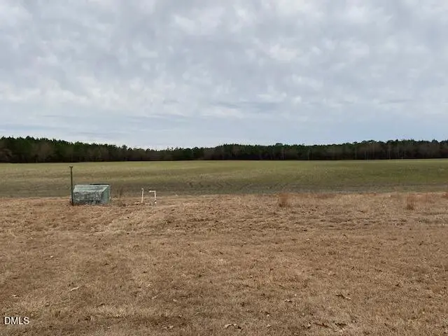 160 Big Piney Grove Road, Clinton, NC 28328 - Image #2