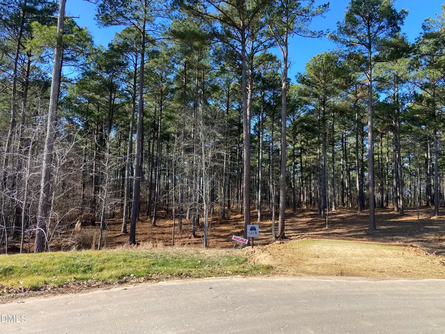 8917 Morning Song Court, New Hill, NC 27562 - #2