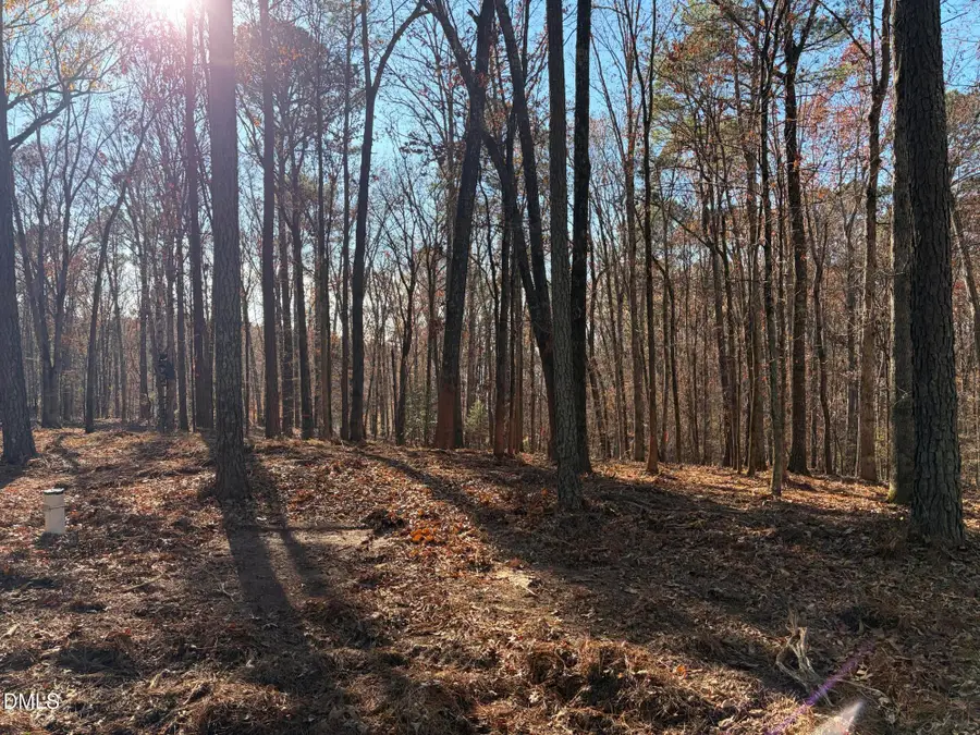 6729 Bartley Point Drive, New Hill, NC 27562 - #3