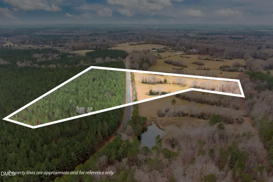 0000 Clyde Underwood New Tract 1 Road, Siler City, NC 27344 - Image #3