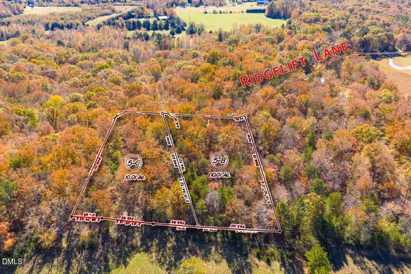 1122 Ridgelift Lane, Hillsborough, NC 27278