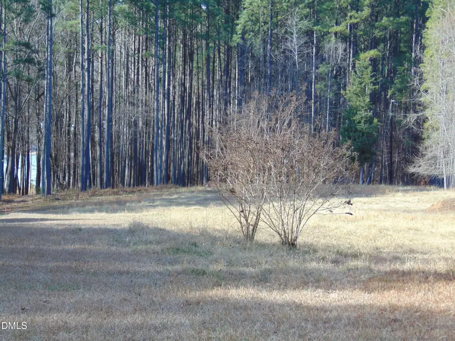 317 Doc Lane, Manson, NC 27553 - Image #2