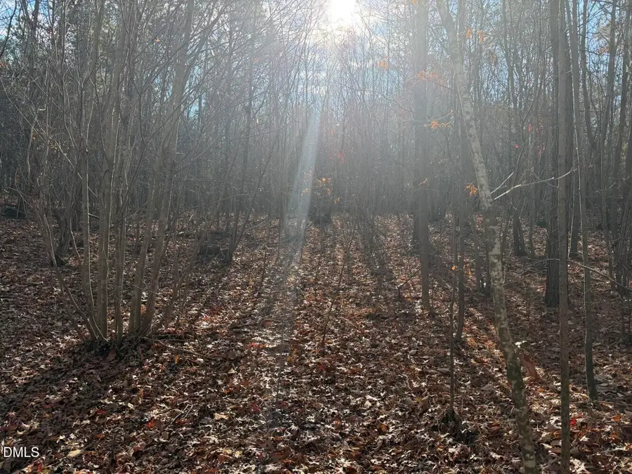 0 White Drive, Snow Camp, NC 27349 - Image #3