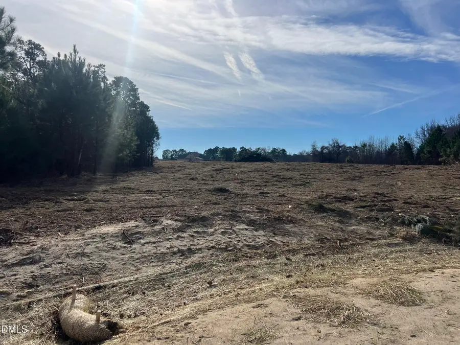 5 Woods Hill Lane Drive, Benson, NC 27504 - Image #2