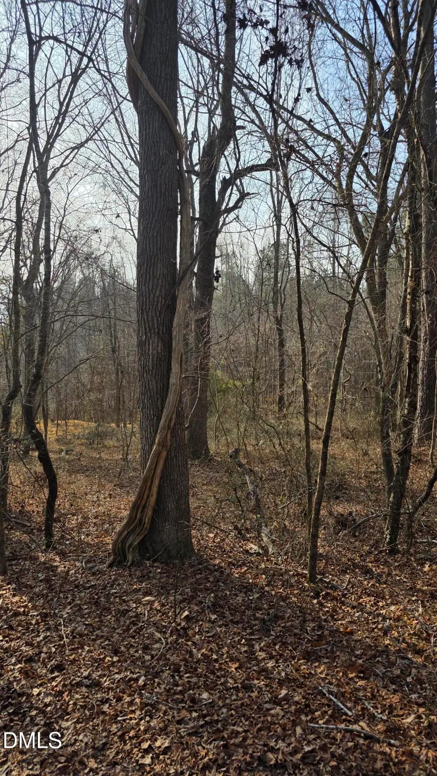 0 Gela Rd At Cornwall Road, Oxford, NC 27565 - Image #3