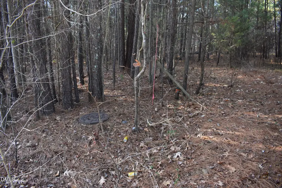 806 Carpenter Fletcher Road, Durham, NC 27713 - Image #2