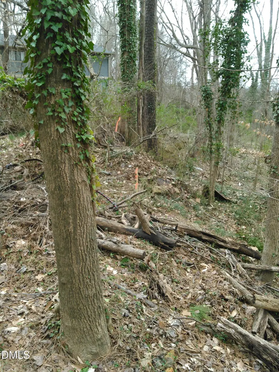 0 Johnson Street, Chapel Hill, NC 27516 - Image #3