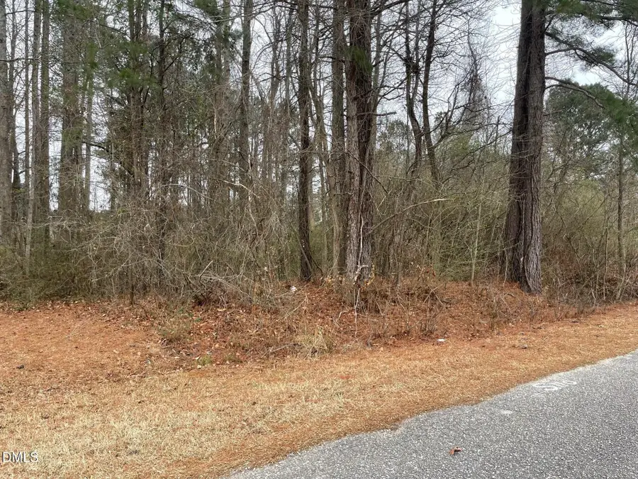 70 Wilson, Bunnlevel, NC 28323 - #3