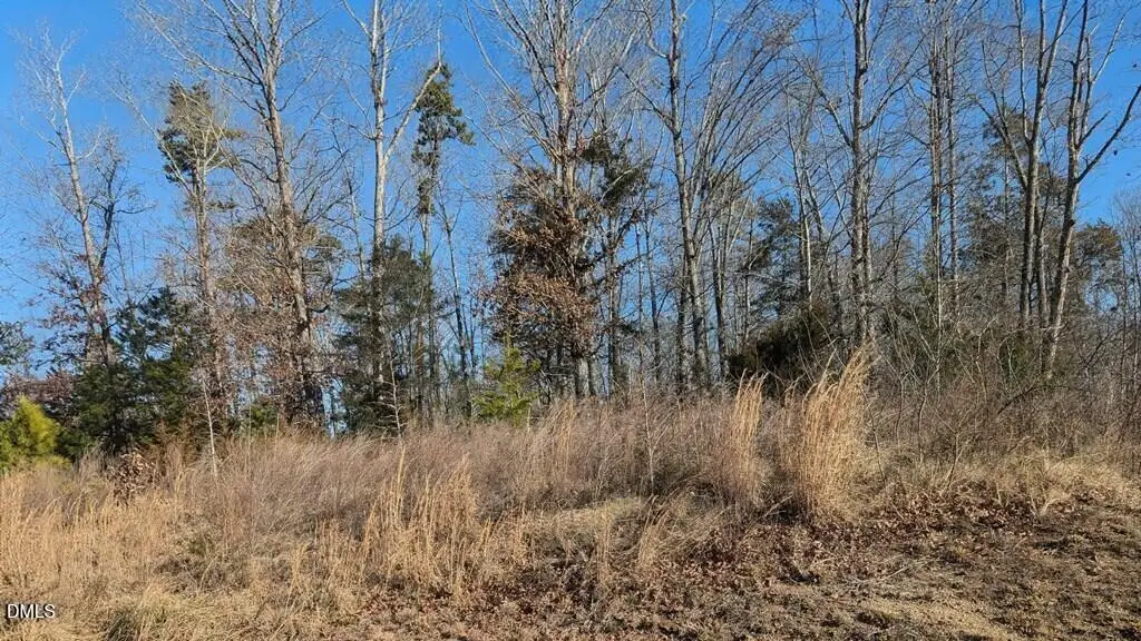 00 Kiza Drive, Buffalo Junction, VA 24529 - #1