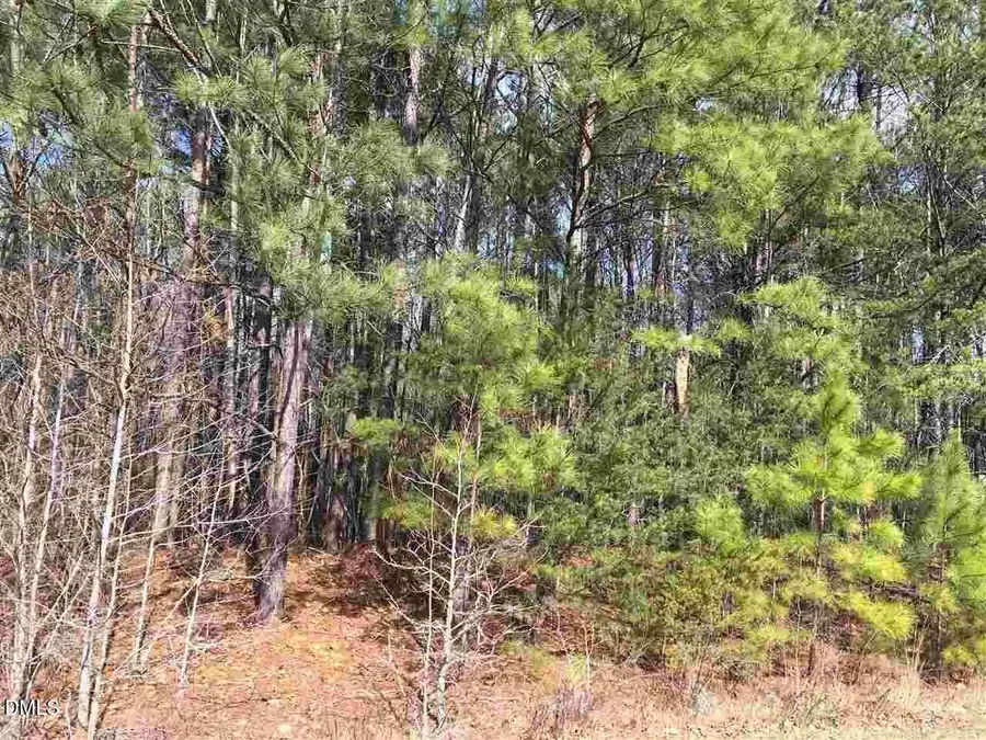 3165 Tump Wilkins Road, Stem, NC 27581 - #2