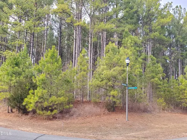 36 Rosefield Court, Pittsboro, NC 27312