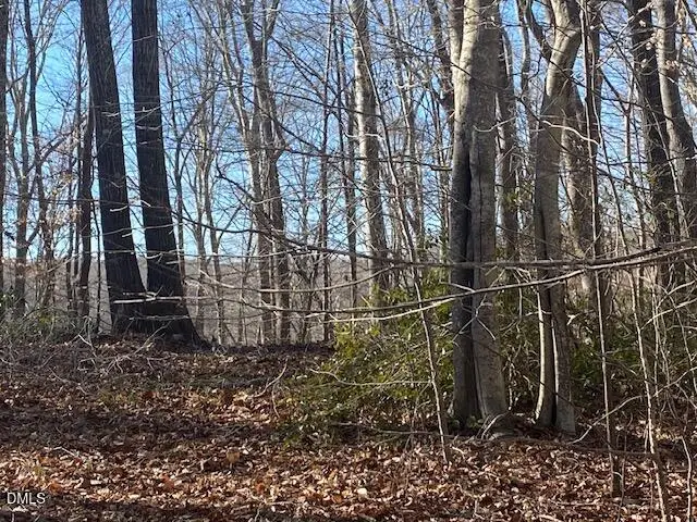 1135 Peninsula Lane, Bullock, NC 27507 - #1