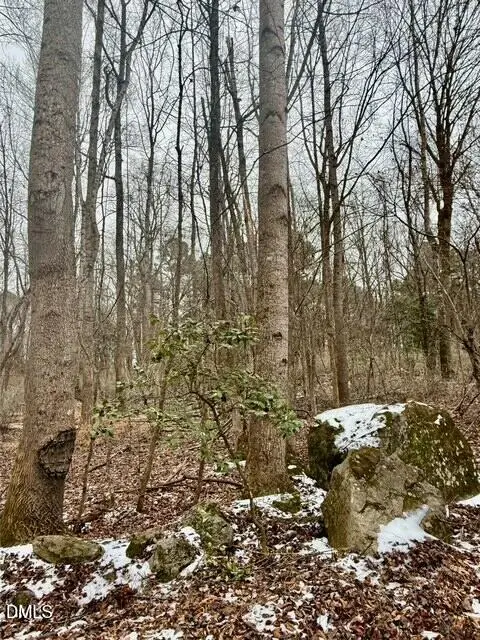 578 Nicks Bend W, Pittsboro, NC 27312 - #3