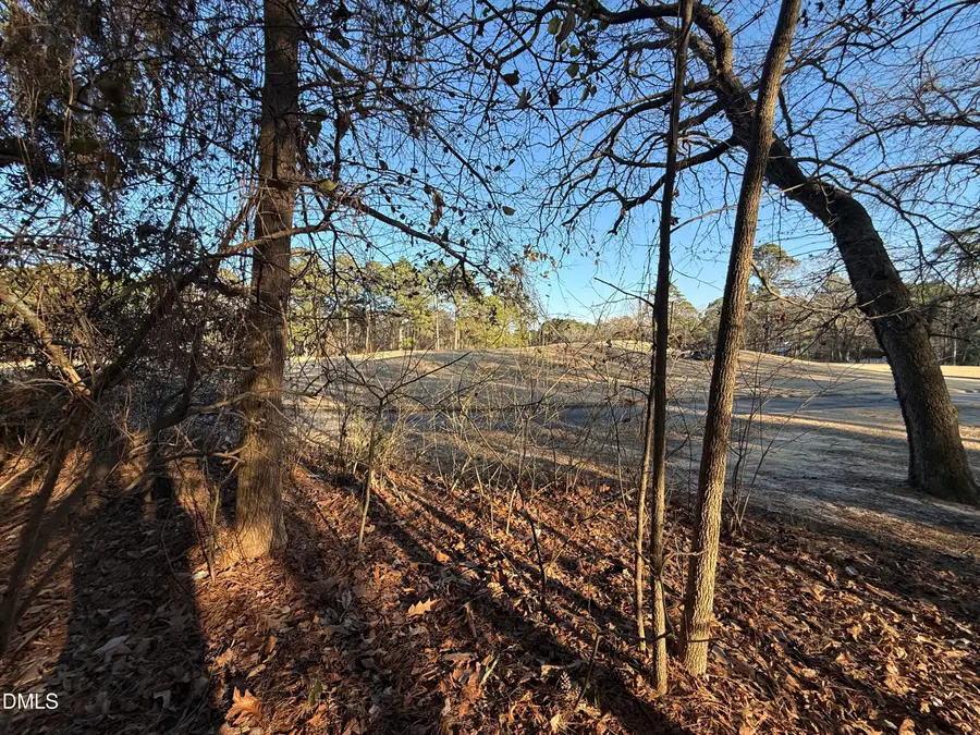 114 Mourning Dove Lane, Goldsboro, NC 27534 - #2