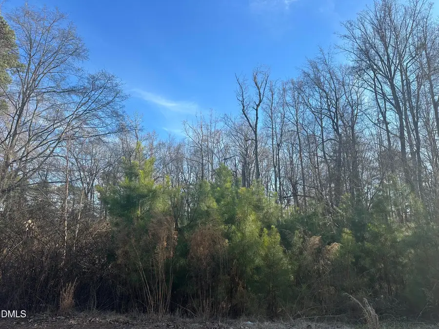 205 Teresa Court, Angier, NC 27501 - #2