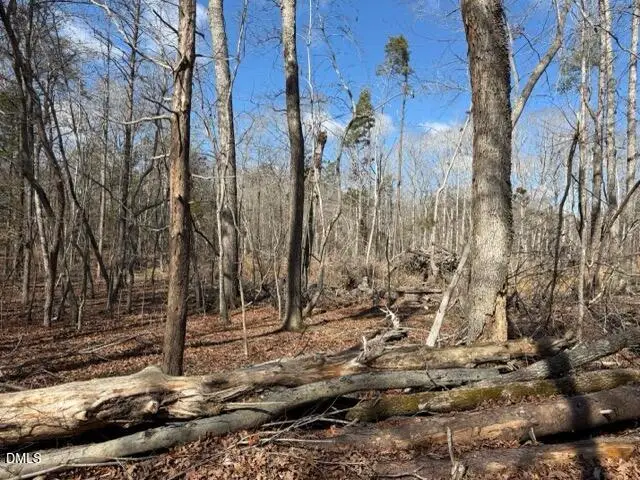 Lot 1 Olivia Pope Way, Efland, NC 27243 - #2