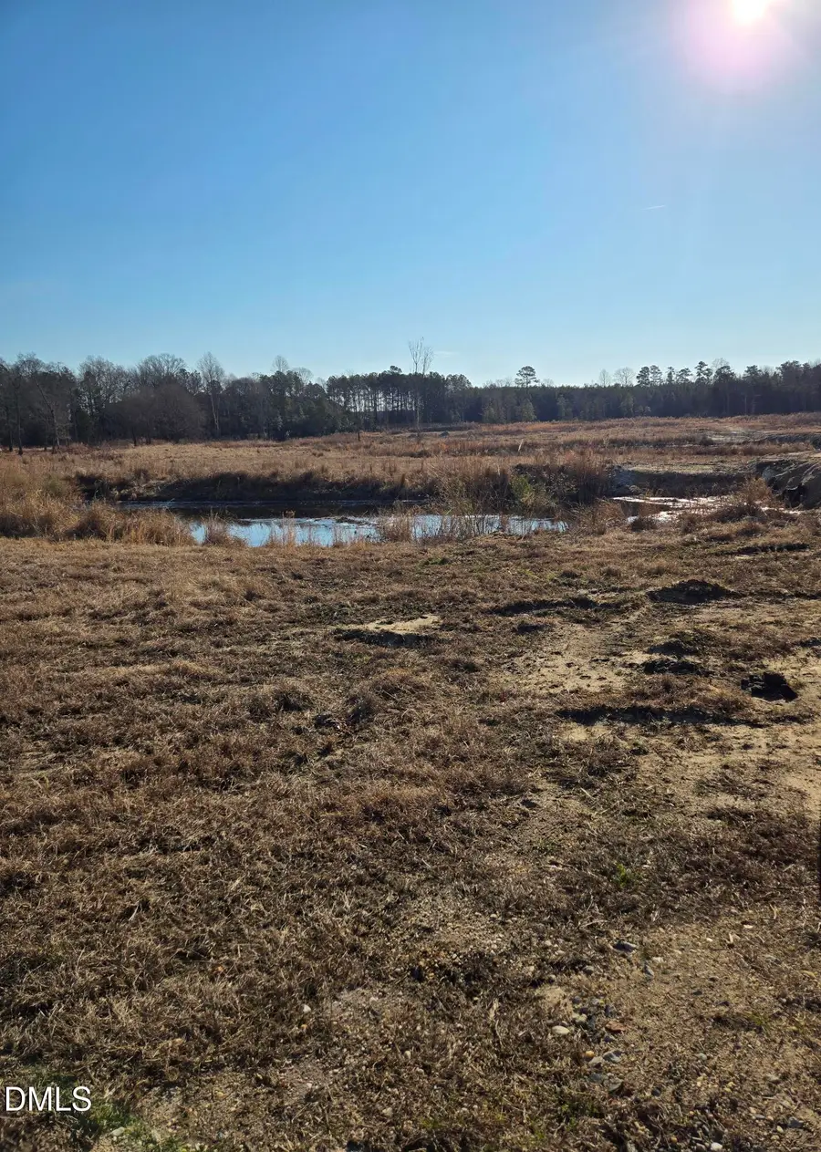 0 Mamie Upchurch Road, Lillington, NC 27546 - #2