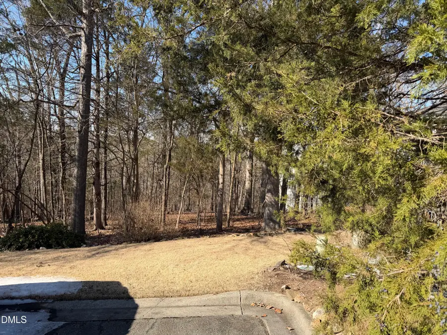 102 Jolyn Place, Chapel Hill, NC 27517 - #2