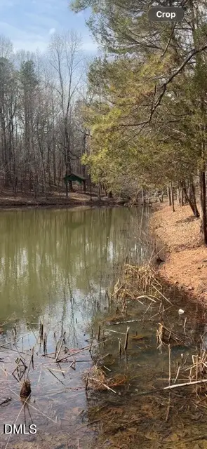 321 Greentree Lane, Siler City, NC 27344 - #1