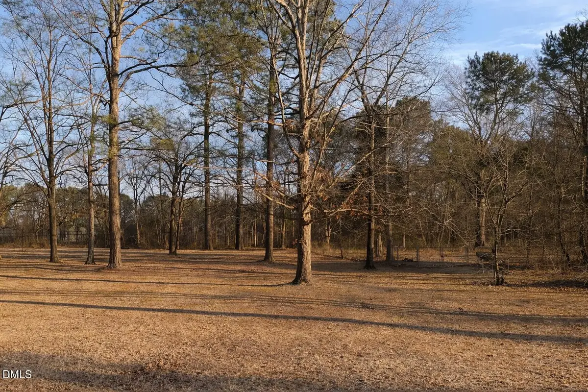 Lot 4 Will Suitt Road, Creedmoor, NC 27522 - #1