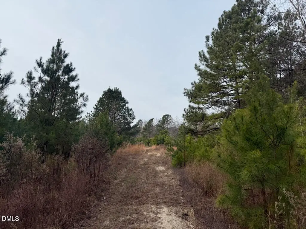 0 Murphy Road, Youngsville, NC 27596 - #1