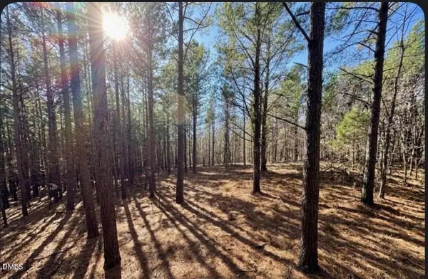 0 Highway 86, Prospect Hill, NC 27314