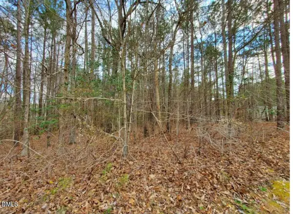 195 Owl Drive, Youngsville, NC 27596