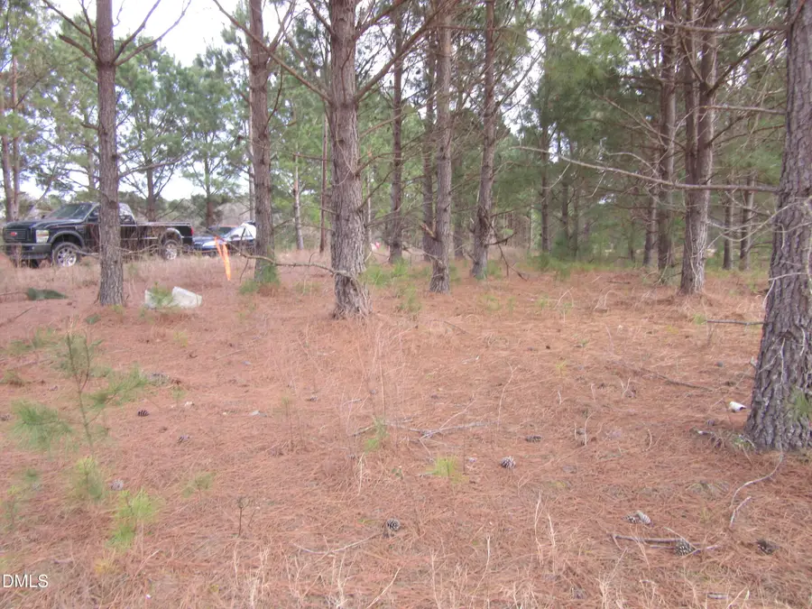 Lot 2 Johnson Town Road, Zebulon, NC 27597 - #3