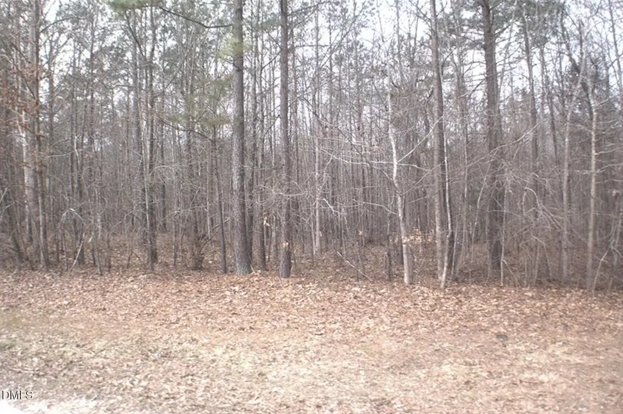 0 Martin Pond Road, Wendell, NC 27591 - #3