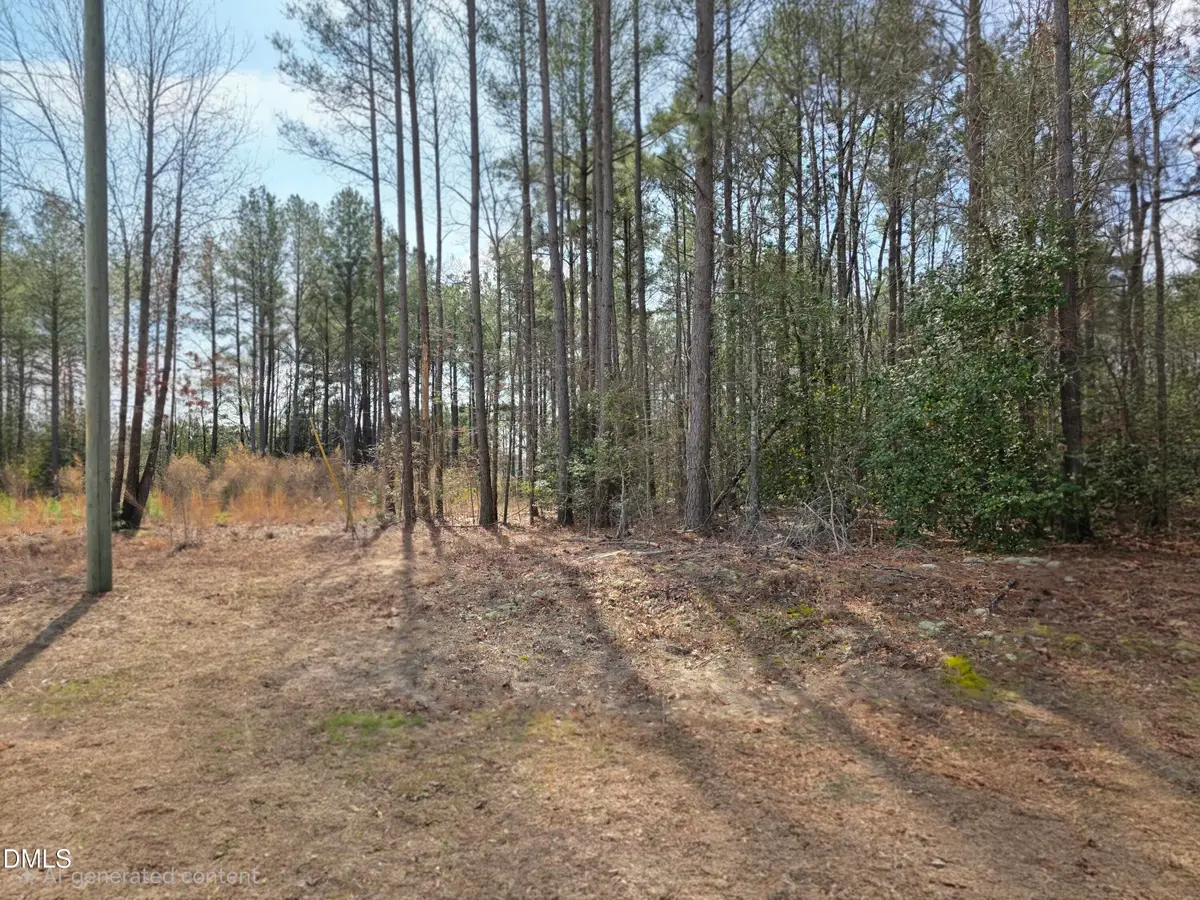275 Raynor Sands Drive, Dunn, NC 28334 - #1