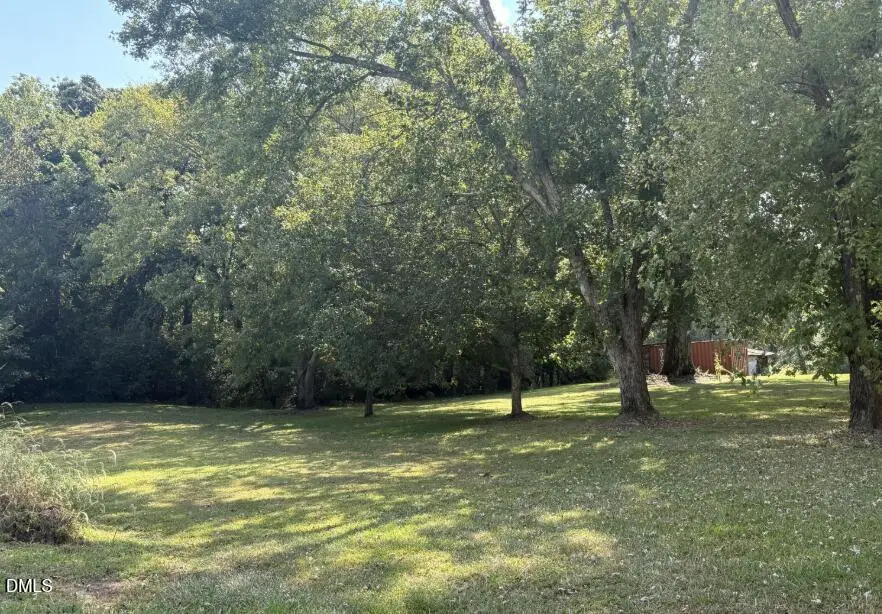 Lot 2 Winfred Brady Road, Bennett, NC 27208 - #2