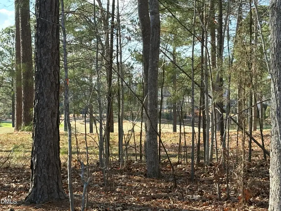 490 Chapel Ridge Drive, Pittsboro, NC 27312 - #3