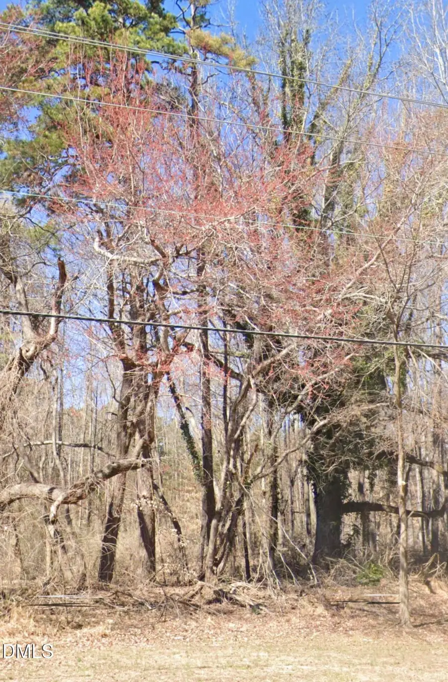 1.5 Acres Burlington Road, Roxboro, NC 27573 - #3