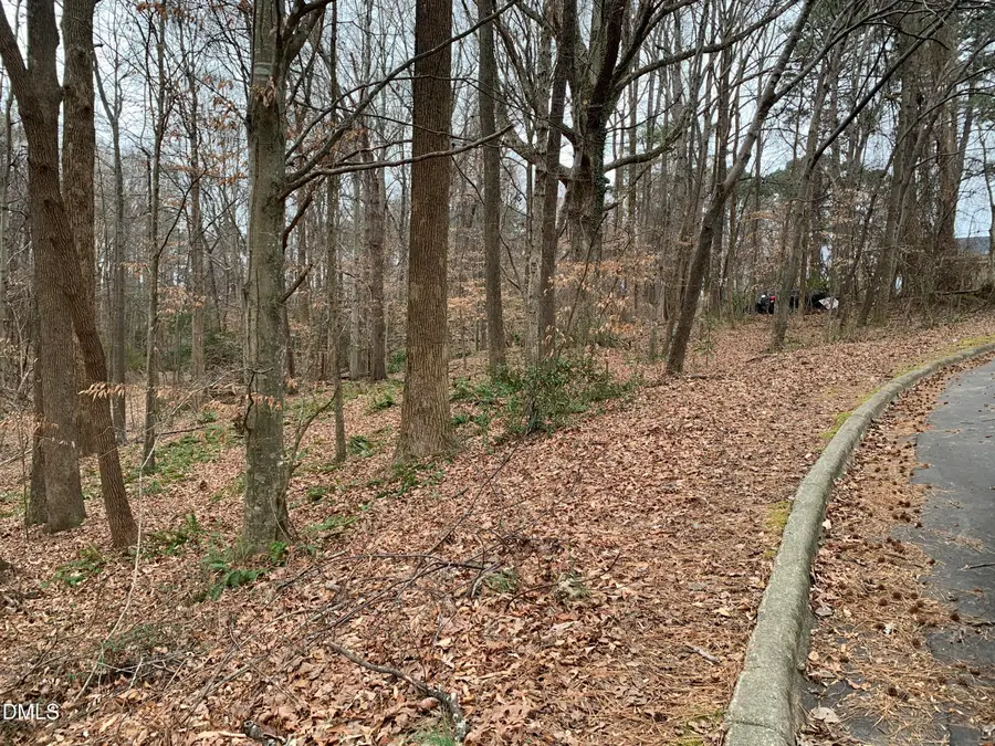 0 Washington And Smith Street, Clayton, NC 27520 - #3