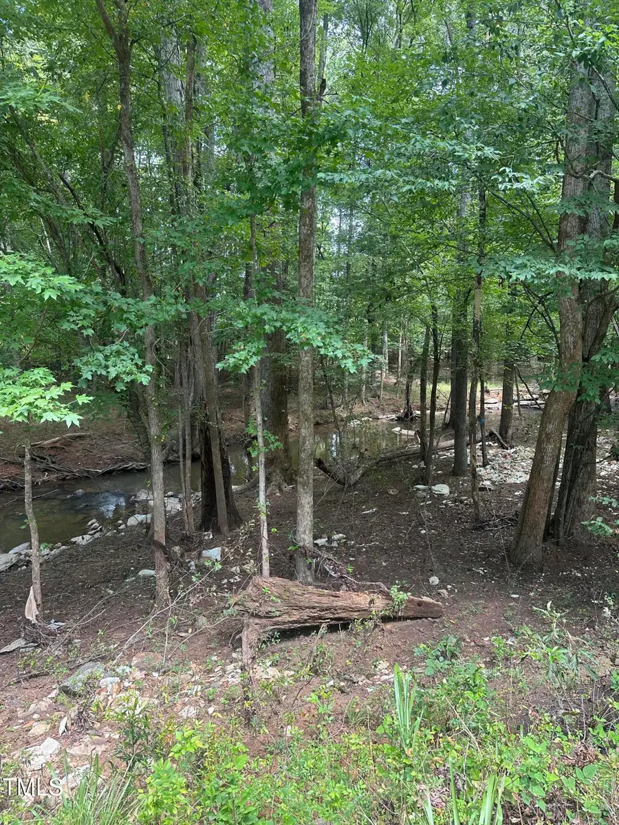 Lot 1 Schley Road, Hillsborough, NC 27278 - #3