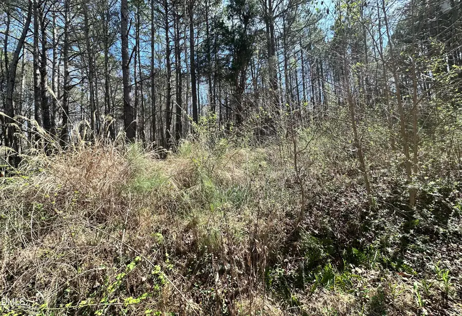 0 Pleasant Hill Church Road, Siler City, NC 27344 - #2