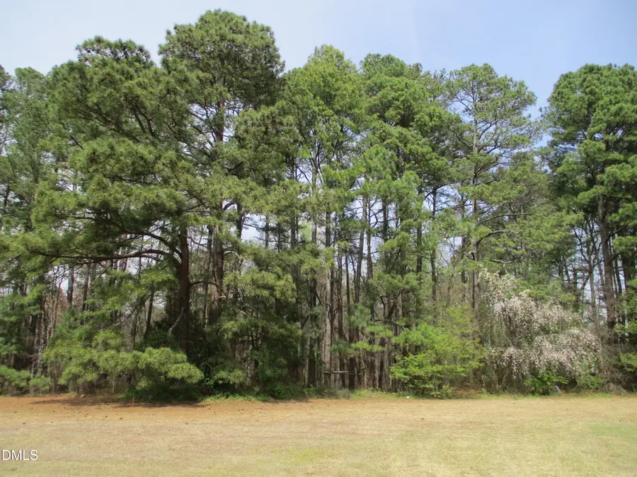 0 Jones Sausage Road, Garner, NC 27529 - #3