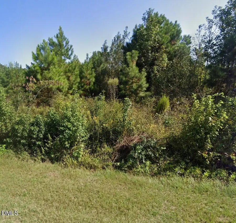 0 Darden Road, Faison, NC 28341 - #3