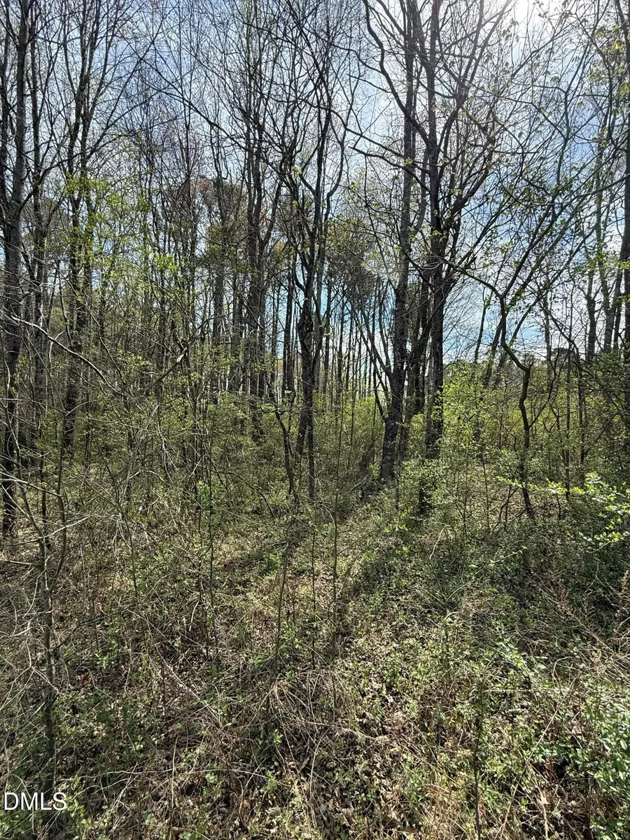 10 Sutton Road, Louisburg, NC 27549 - #3